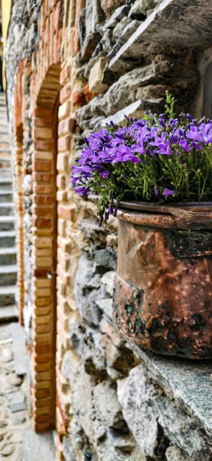 Agriturismo Il Medeghino Musso Zewnętrze zdjęcie